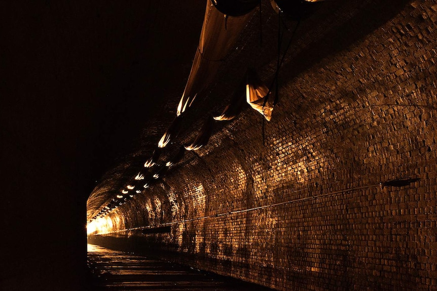 Sleeps Hill Tunnel unoccupied