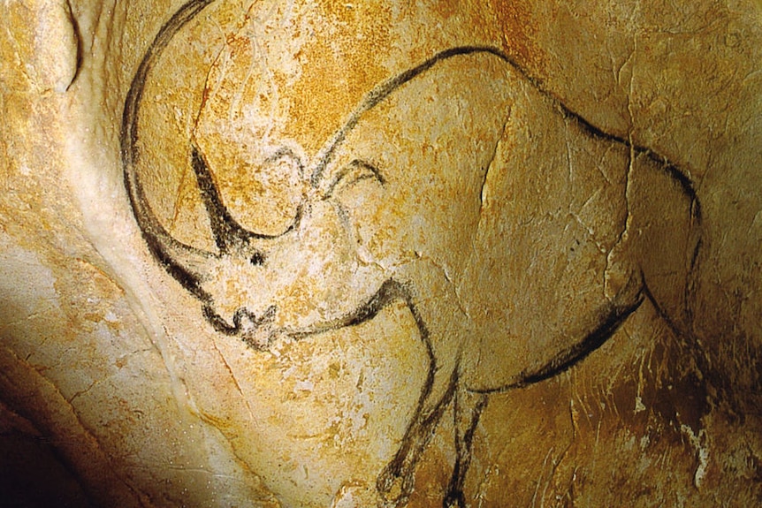 Cave painting of a woolly rhinoceros