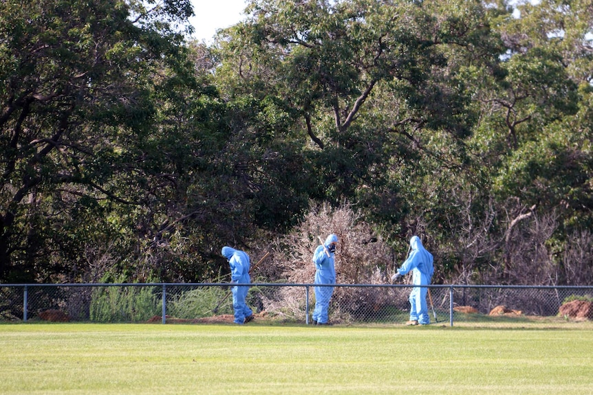 Contractors in blue jumpsuits with rakes inspect asbestos contamination next to a grass oval, with trees in the background.