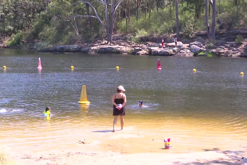 Swimmers at Lake Parramatta cool off to during the heatwave across news south wales