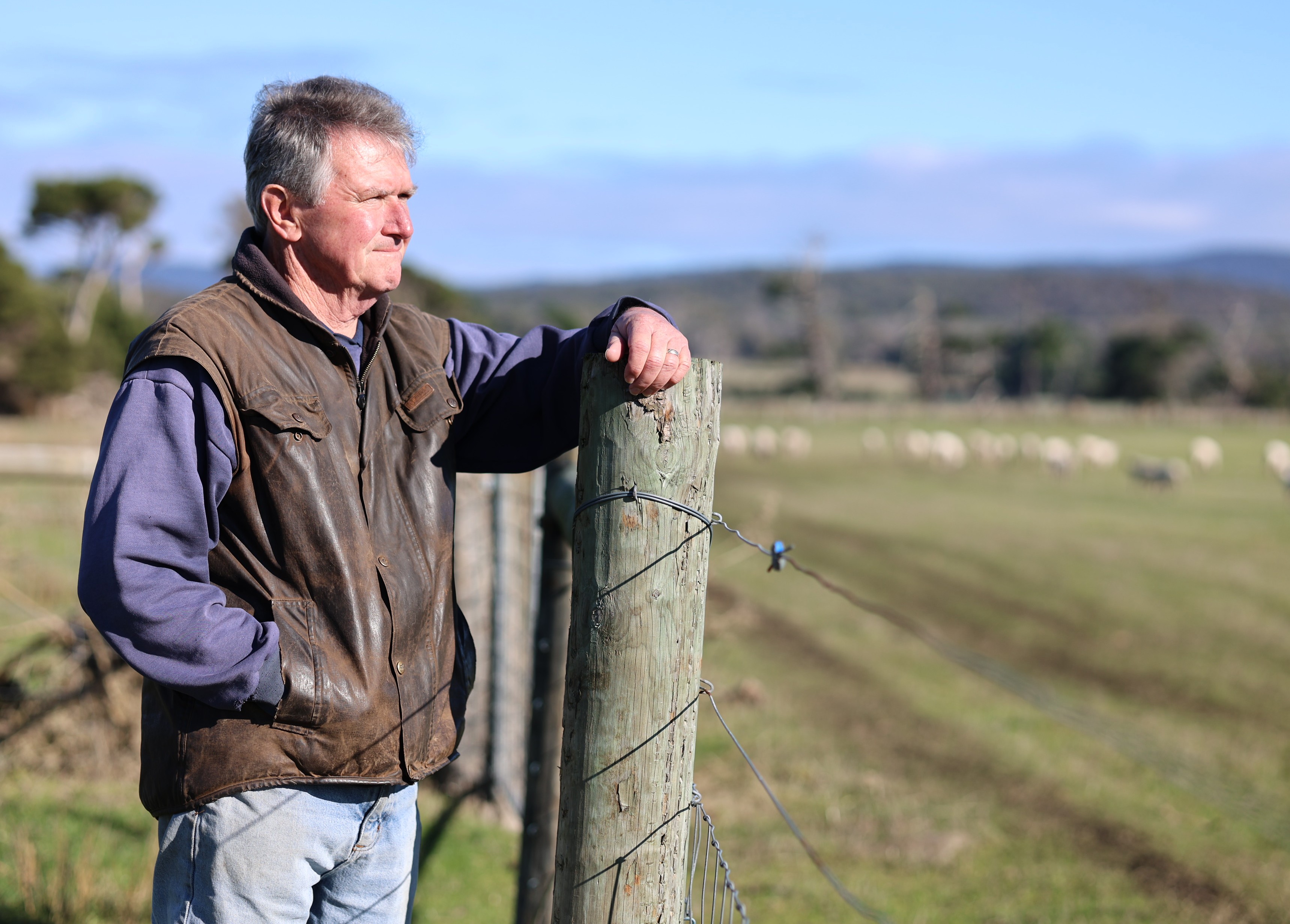 a farmer leans against a fence post overlooking a paddock of sheep