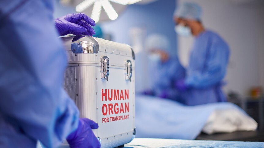 An organ donation box being held by a person in scrubs in an operating theatre
