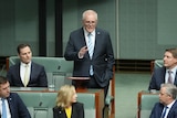 Scott Morrison gestures while standing in the House of Representatives