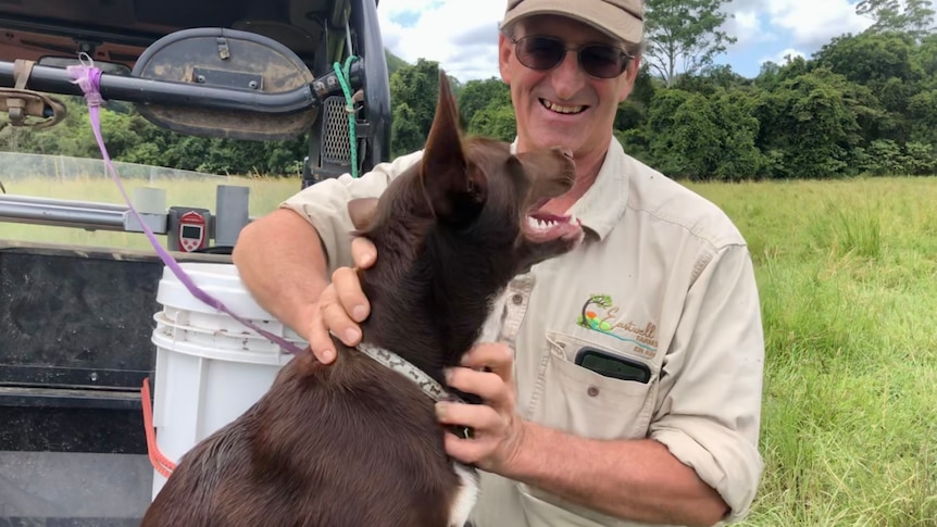 A man pats his Kelpie on the back of a farm vehicle. The dog is looking up adoringly at him.