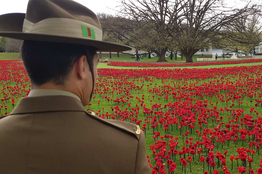 A soldier in a slouch hat looks out over a field of handmade poppies at the Australian War Memorial.