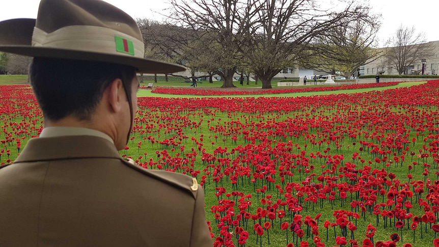 A soldier in a slouch hat looks out over a field of handmade poppies at the Australian War Memorial.