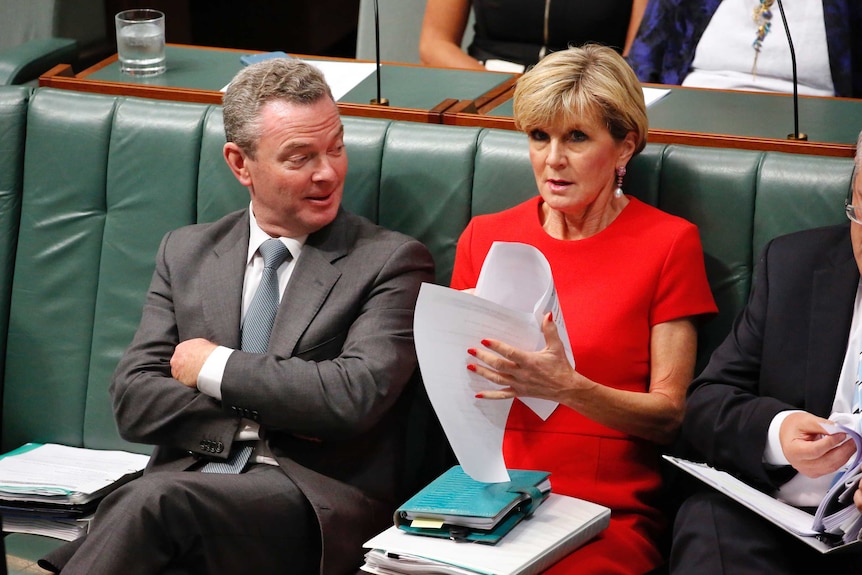 Foreign Minister Julie Bishop and Defence Minister Christopher Pyne sit together as she adjusts her paperwork