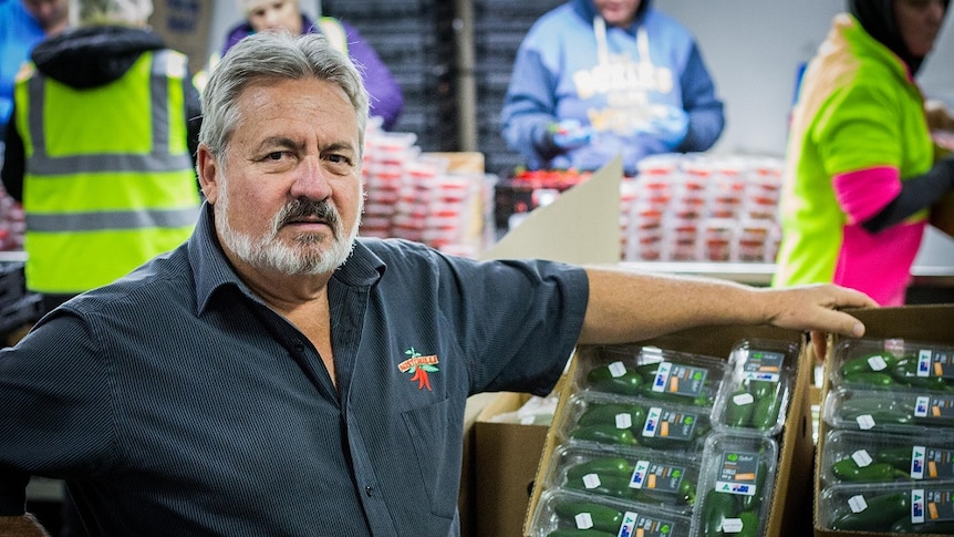 Farmer David De Paoli stands in a market next to packaged chillis.