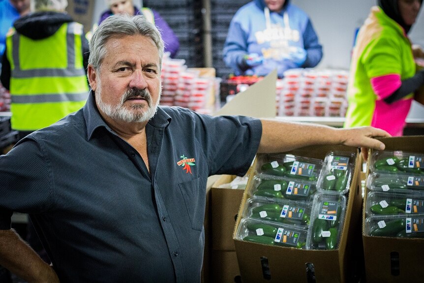 Farmer David De Paoli stands in a market next to packaged chillis.