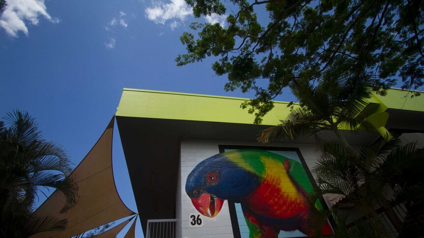 A painting of a rainbow lorikeet on the side of a building.