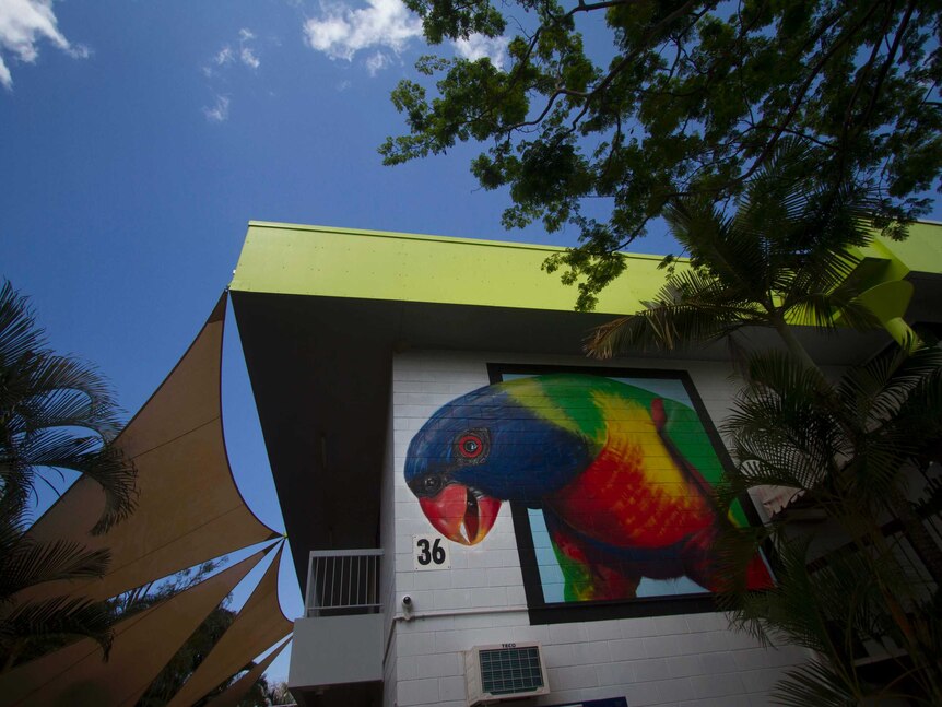A painting of a rainbow lorikeet on the side of a building.