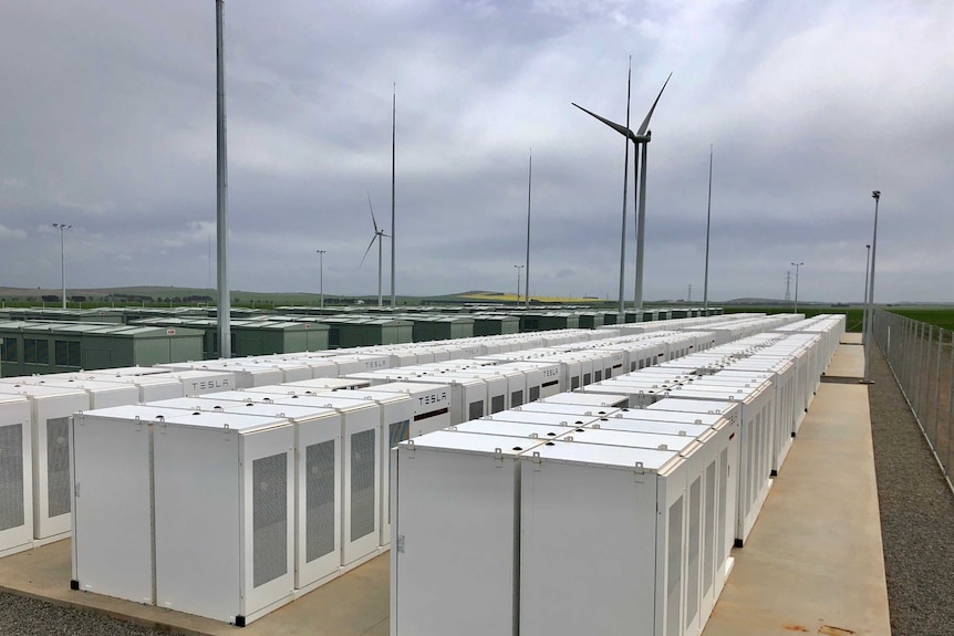 Rows and rows of white boxes line underneath windmills.