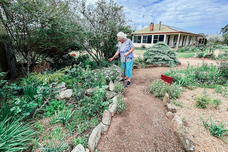 a woman stands on a path looking at her garden
