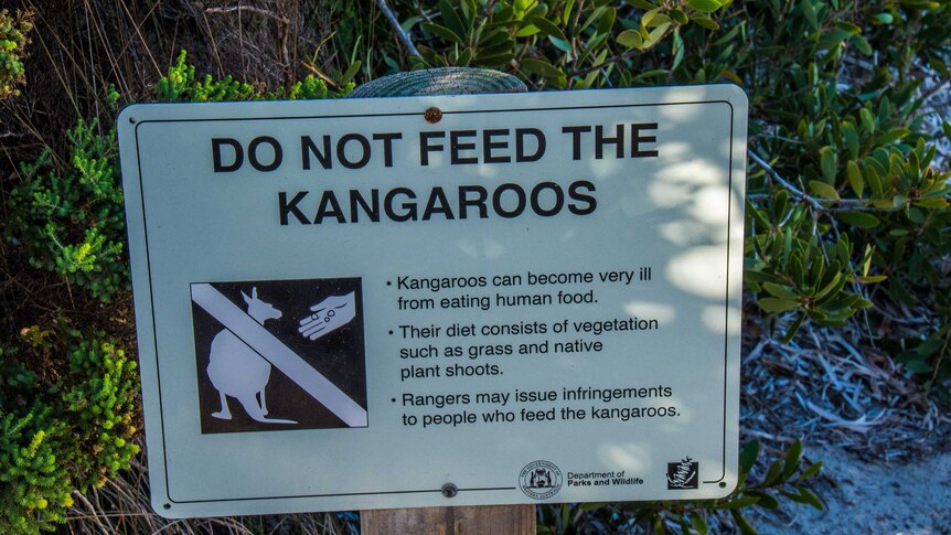 Wildlife warning sign