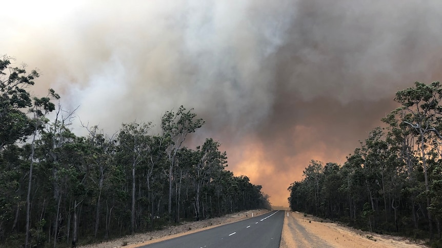 A road, surrounded by bushland, leads to a bushfire.