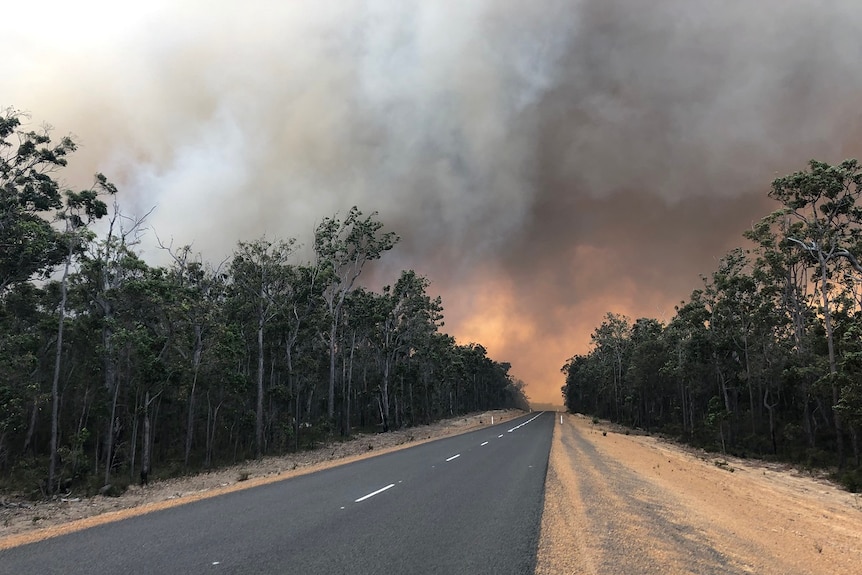 A road, surrounded by bushland, leads to a bushfire.