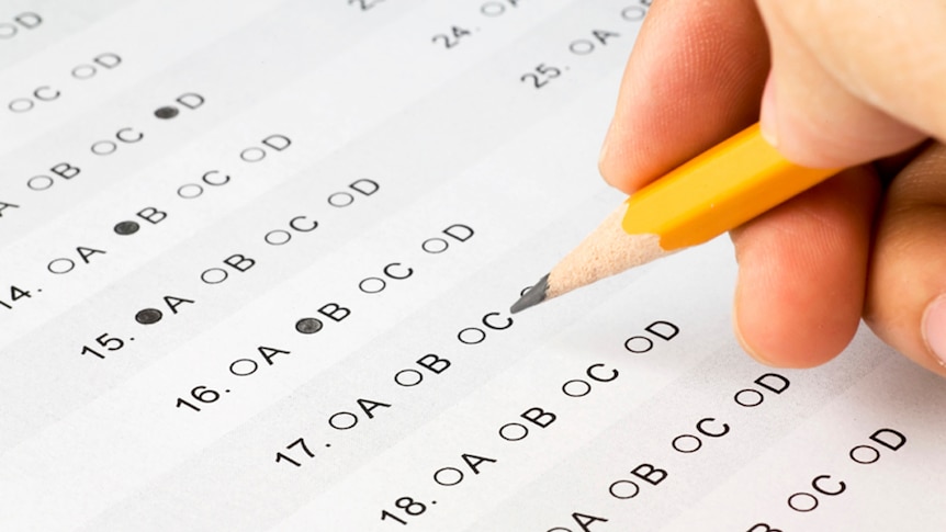 Standardised test results show only that students can regurgitate facts, says Gabrielle Stroud.