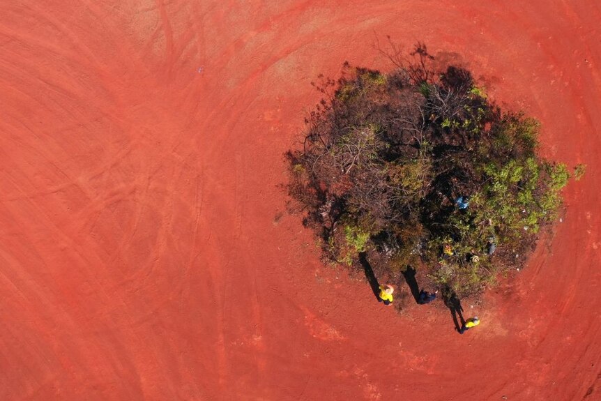A drone shot of red dirt and people standing around a green bush.