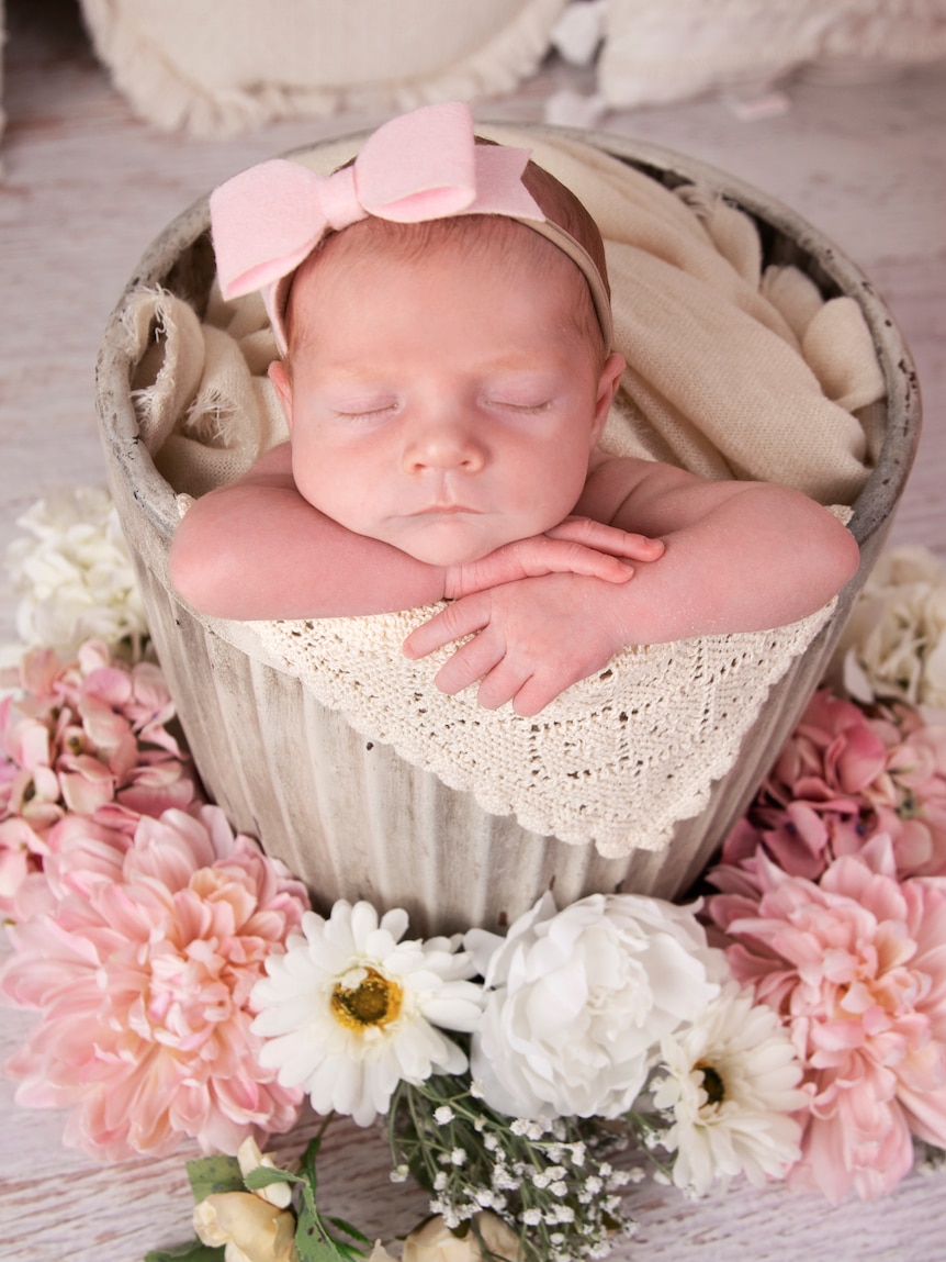 A nice portrait of young baby Daisy wearing a pink bow on her head surrounded by beige blankets.