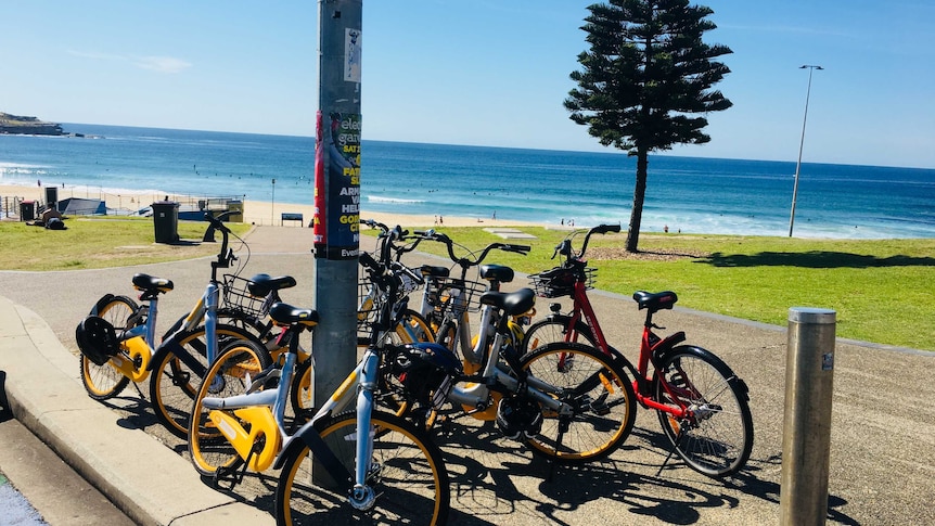 Bikes at Bondi Beach