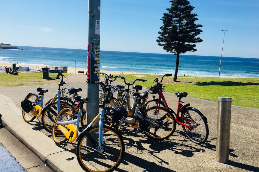 Bikes at Bondi Beach