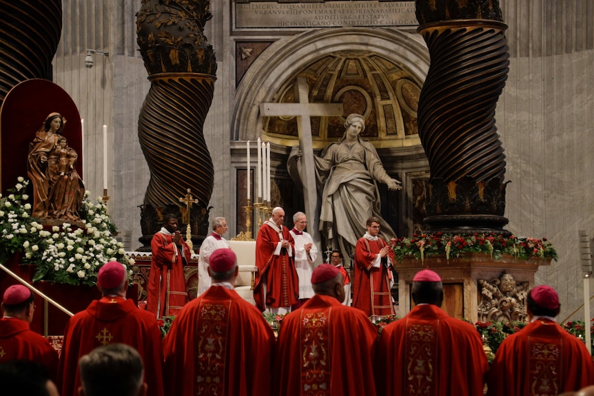 You look to the ornate altar of St Peter's Basilica behind a row of cardinals draped in red vestments and pink skull caps.