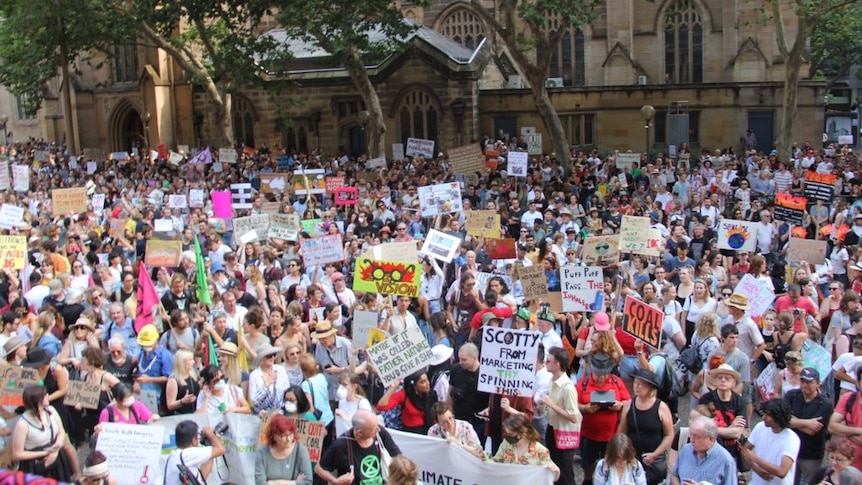 Large crowd holding placards at Sydney climate rally.