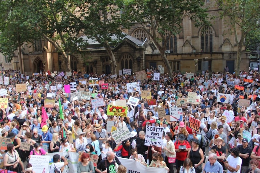 Large crowd holding placards at Sydney climate rally.