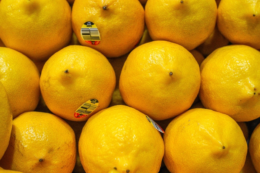 Australian lemons in a supermarket