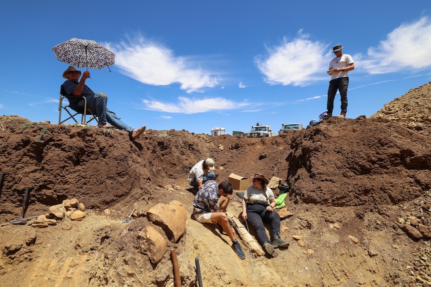 People look for fossil in pit.