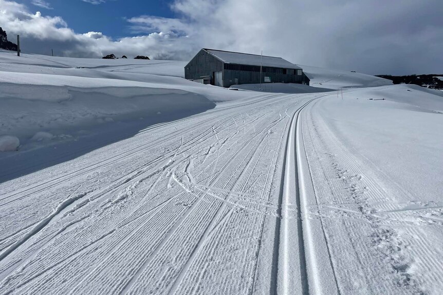 A snow-covered road leading up to a shed