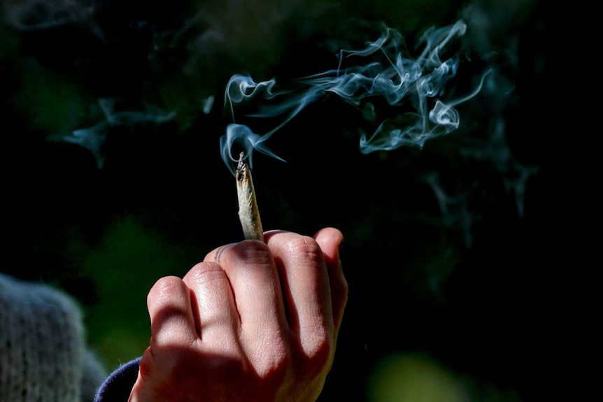 A close up of a hand holding a lit joint with smoke wafting from it.