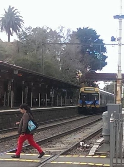 Unidentified teens coupler riding at Middle Brighton train station in Melbourne on July 11, 2014.