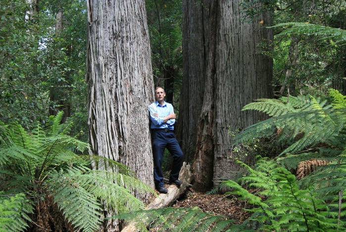 Bob Brown in the Wielangta State Forest, Tasmania (The Australian Greens)