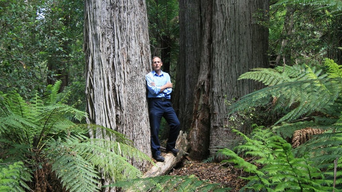 Bob Brown in the Wielangta State Forest, Tasmania (The Australian Greens)