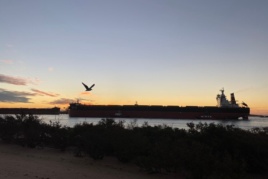 Iron ore ship sails into Port Hedland at sunset with a bird flying in the foreground.