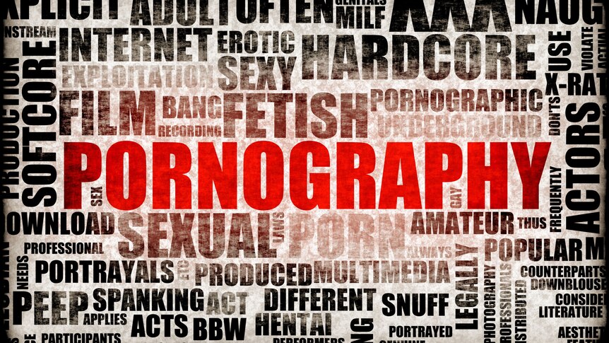 High School Amateur Porn - Degradation of women in porn - ABC News