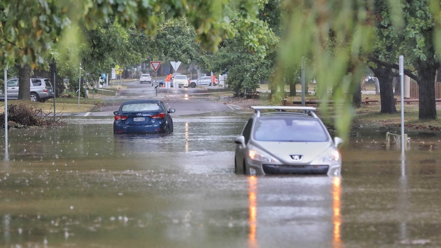A blue car and a silver car drive through flooded streets in Canberra.