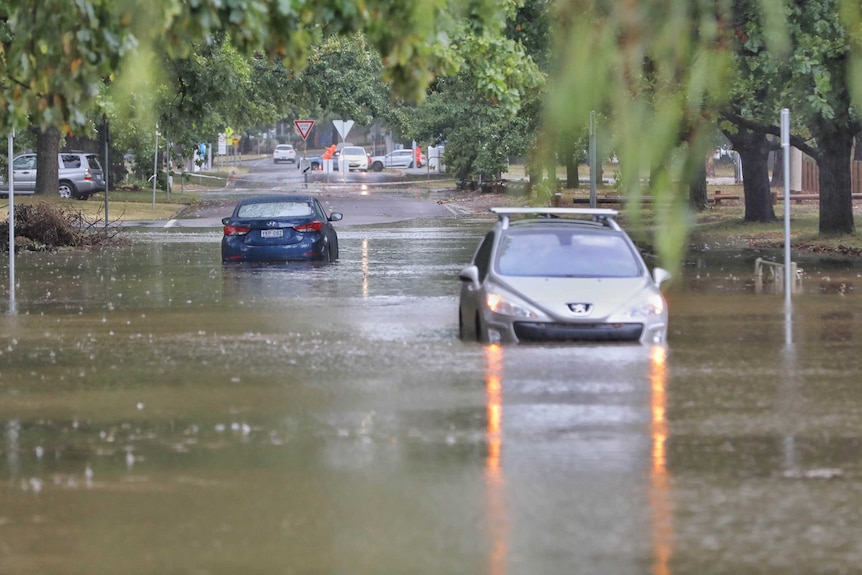 A blue car and a silver car drive through flooded streets in Canberra.