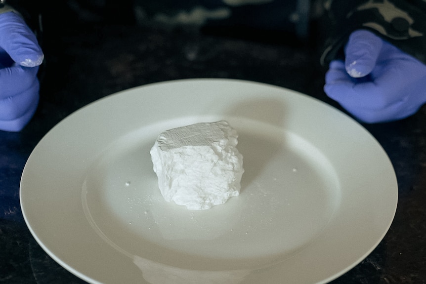 A crumbly white rock of cocaine sits on a white dinner plate resting on a counter top. A man's gloved hands sit next to it. 