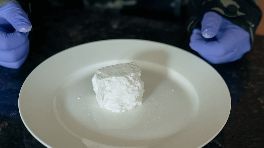 A crumbly white rock of cocaine sits on a white dinner plate resting on a counter top. A man's gloved hands sit next to it. 
