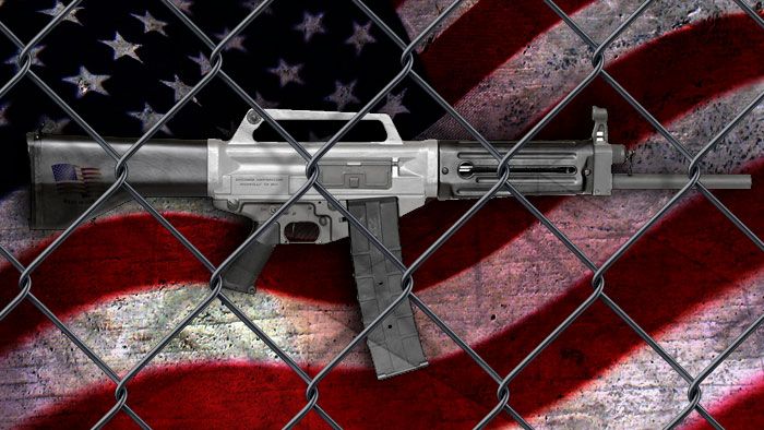 Gun Control Campaigners - Behind The News