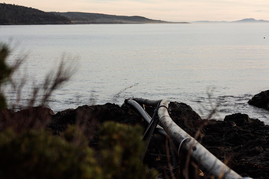 pipe going into ocean