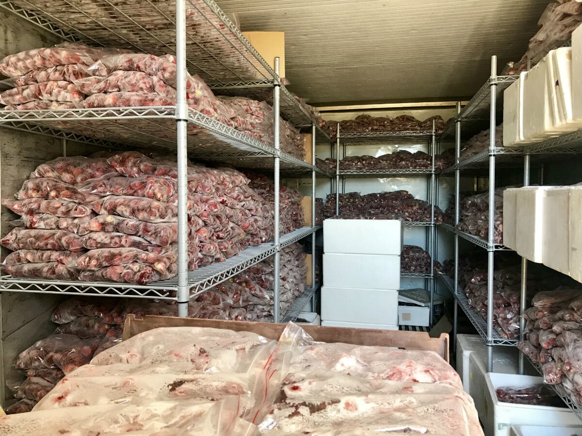 Bags of frozen strawberries in an industrial freezer.