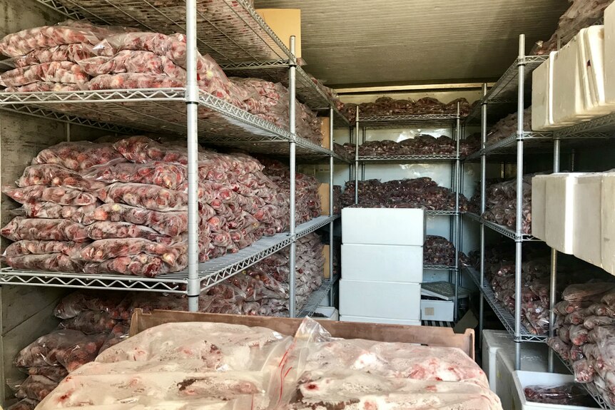 Bags of freeze-dried strawberries at the Schultz's farm at Wamuran.