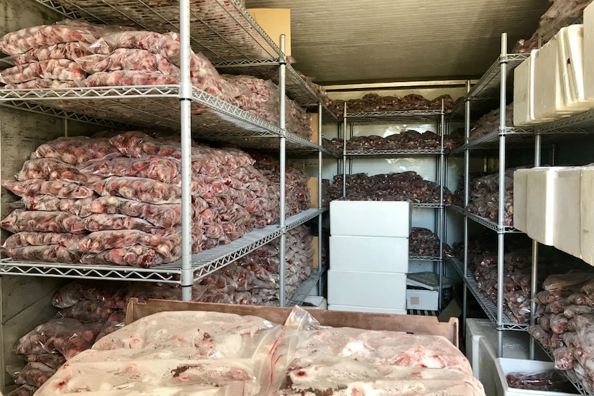 Bags of frozen strawberries in an industrial freezer.