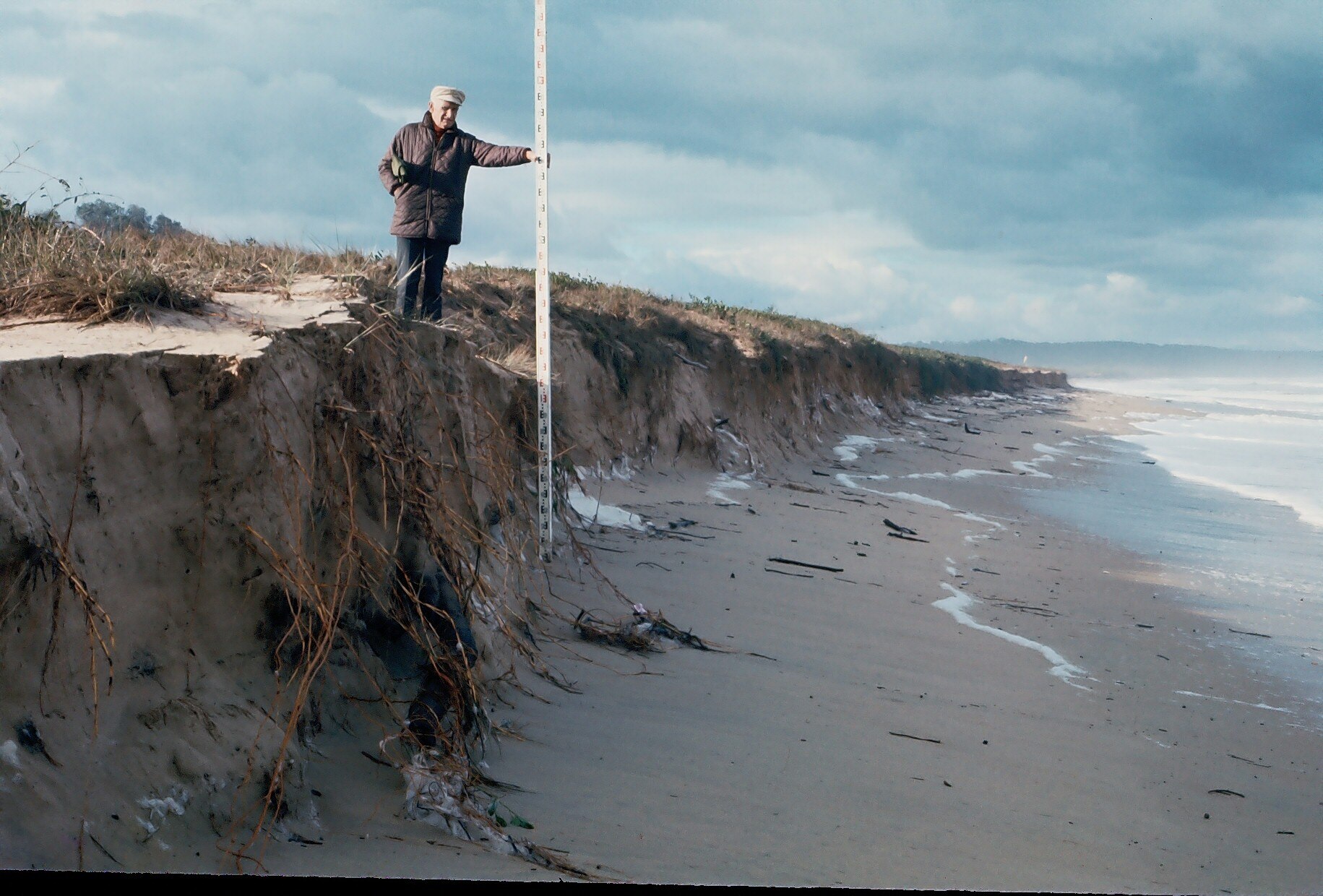 A man stands on top of a sand dune cliff beside the beach, using a long white rod to measure its height.