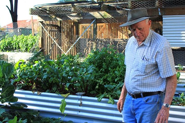 An older man in an akubra stands in a garden in front of a row of raised garden beds.