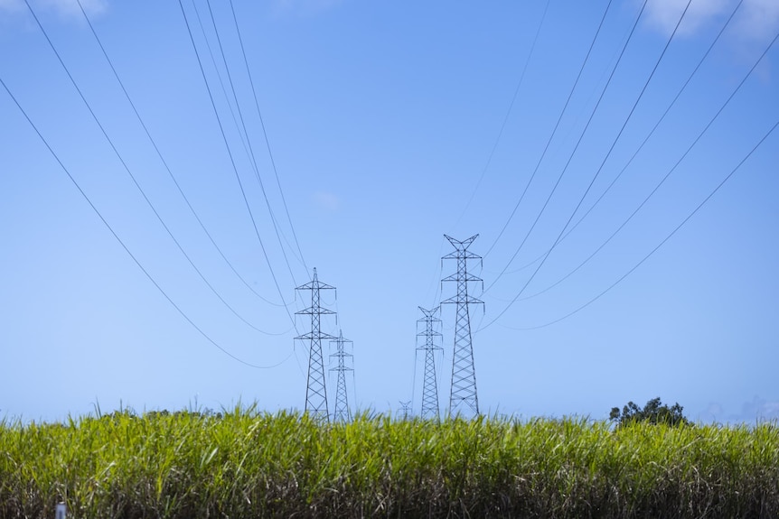 Electricity transmission lines across grassy paddock under blue sky into Rockhampton.