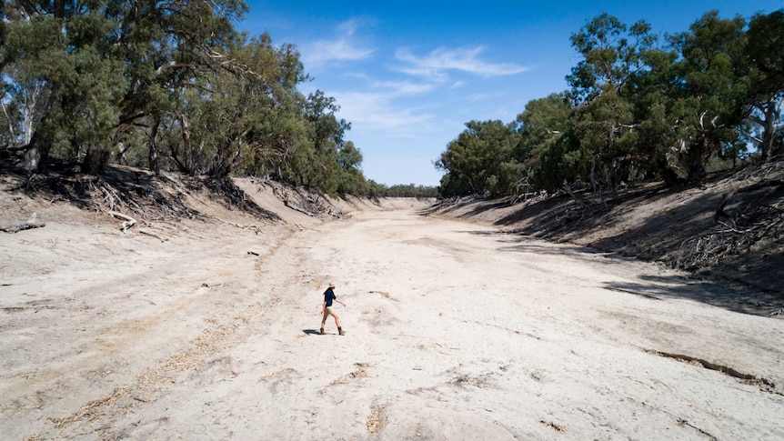 A woman walks across a large dry lake